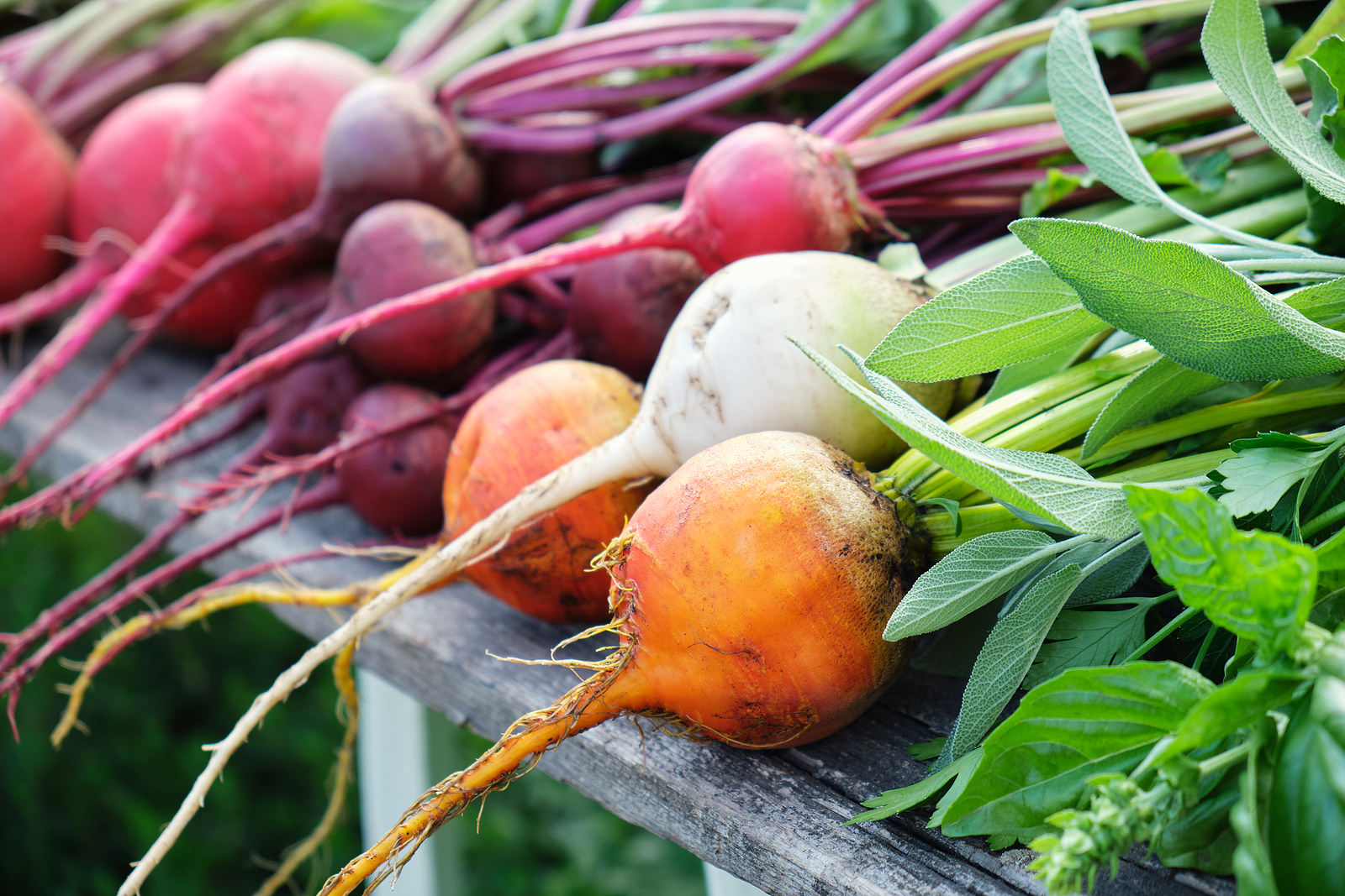 hidden-health-benefits-from-eating-beets